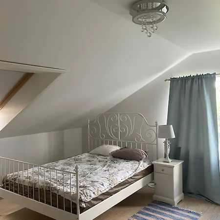 Spacious House With Steam Sauna And Bbq Hut